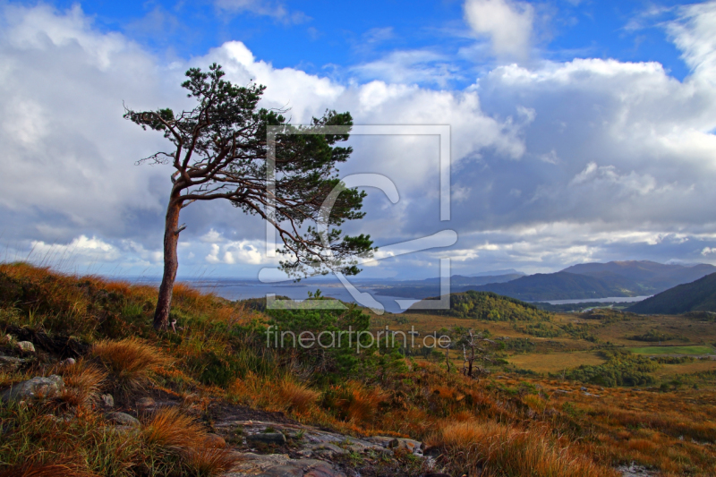 frei wählbarer Bildausschnitt für Ihr Bild auf Grußkarte