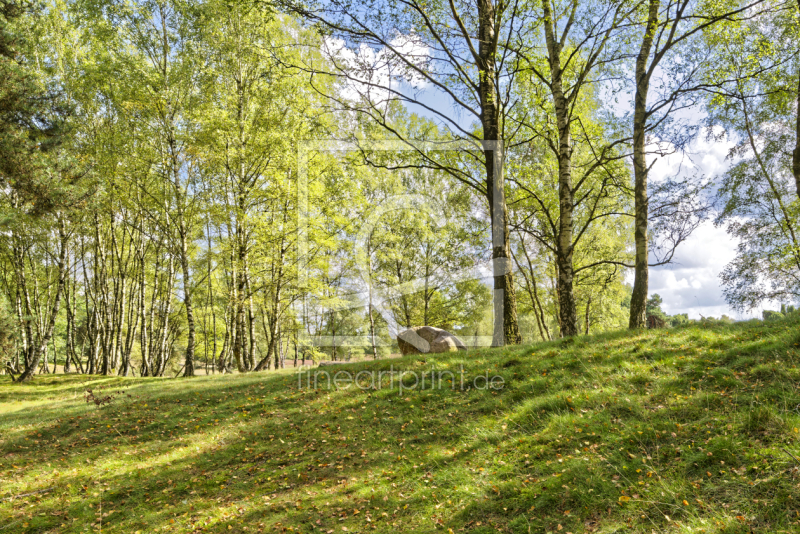 frei wählbarer Bildausschnitt für Ihr Bild auf Grußkarte