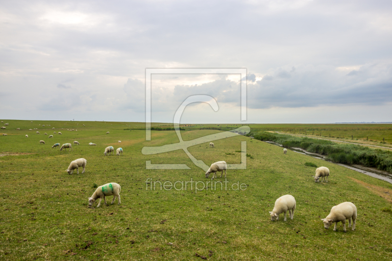 frei wählbarer Bildausschnitt für Ihr Bild auf Grußkarte