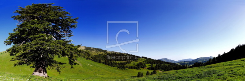 frei wählbarer Bildausschnitt für Ihr Bild auf Grußkarte