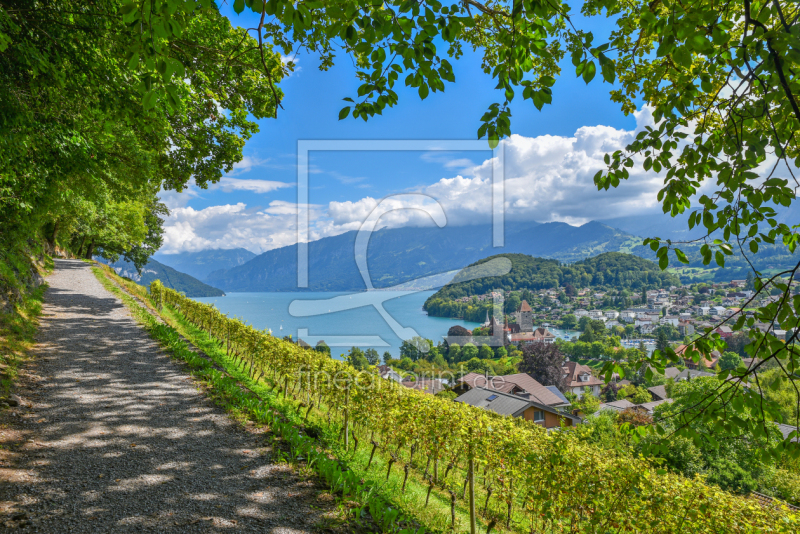 frei wählbarer Bildausschnitt für Ihr Bild auf Grußkarte
