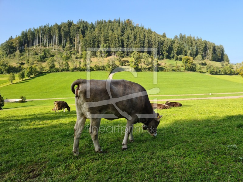 frei wählbarer Bildausschnitt für Ihr Bild auf Grußkarte