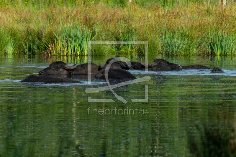 frei wählbarer Bildausschnitt für Ihr Bild auf Grußkarte