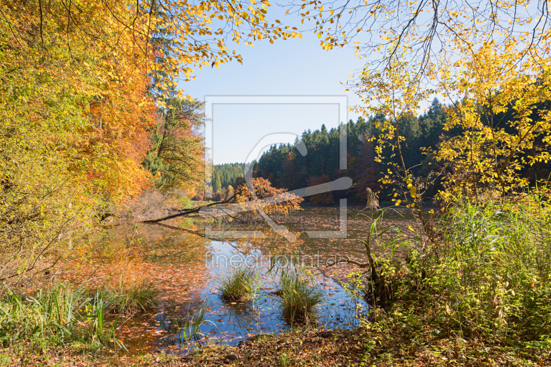 frei wählbarer Bildausschnitt für Ihr Bild auf Grußkarte