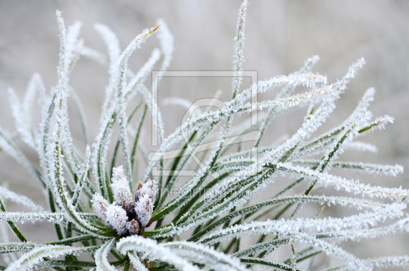 frei wählbarer Bildausschnitt für Ihr Bild auf Grußkarte