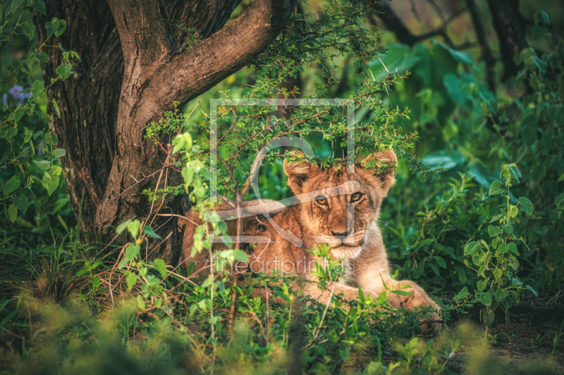 frei wählbarer Bildausschnitt für Ihr Bild auf Grußkarte