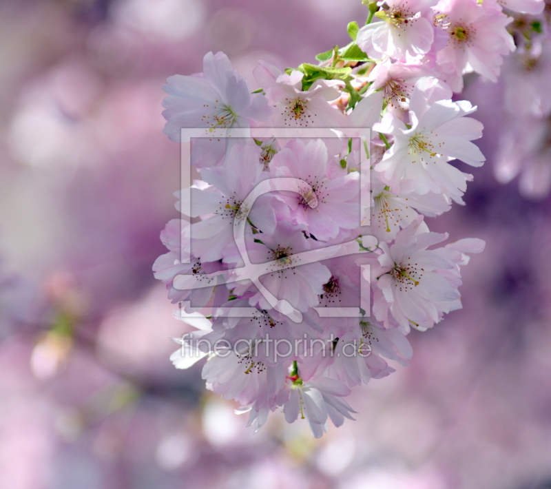 frei wählbarer Bildausschnitt für Ihr Bild auf Grußkarte