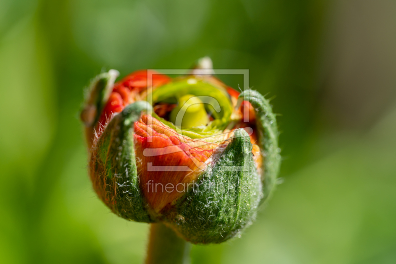 frei wählbarer Bildausschnitt für Ihr Bild auf Grußkarte