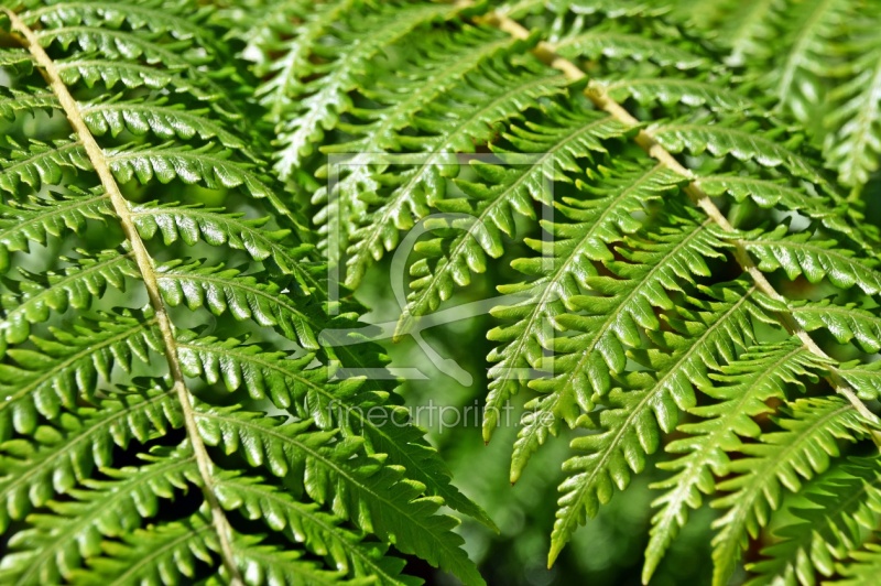 frei wählbarer Bildausschnitt für Ihr Bild auf Grußkarte