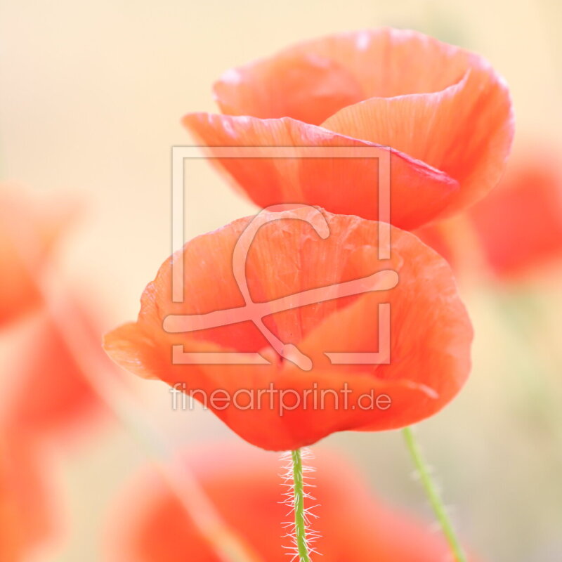 frei wählbarer Bildausschnitt für Ihr Bild auf Grußkarte