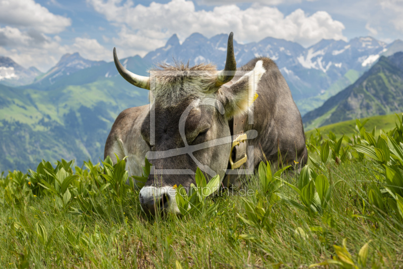 frei wählbarer Bildausschnitt für Ihr Bild auf Grußkarte