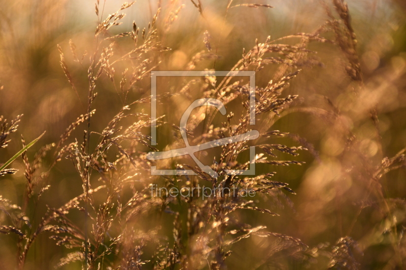 frei wählbarer Bildausschnitt für Ihr Bild auf Grußkarte
