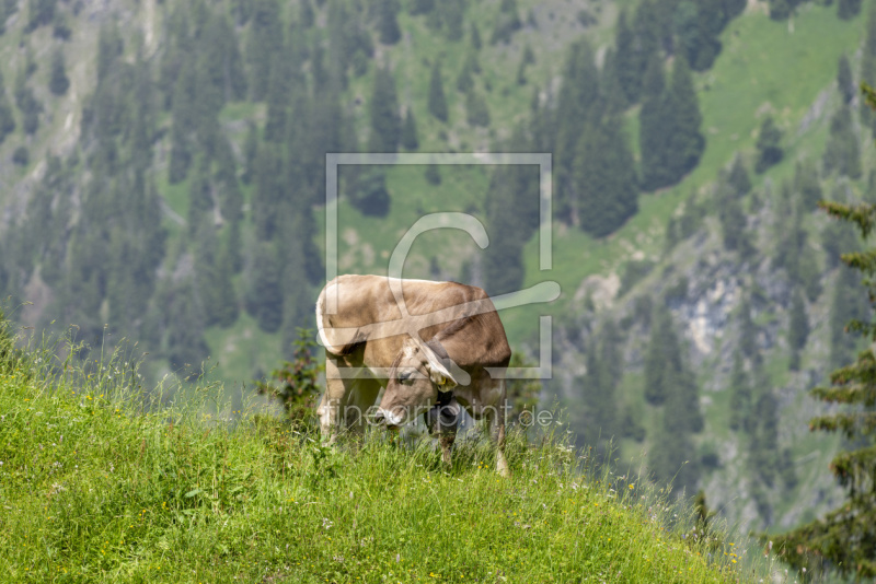 frei wählbarer Bildausschnitt für Ihr Bild auf Grußkarte