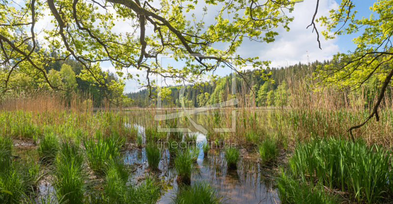 frei wählbarer Bildausschnitt für Ihr Bild auf Grußkarte