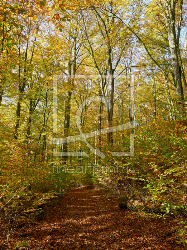 frei wählbarer Bildausschnitt für Ihr Bild auf Grußkarte
