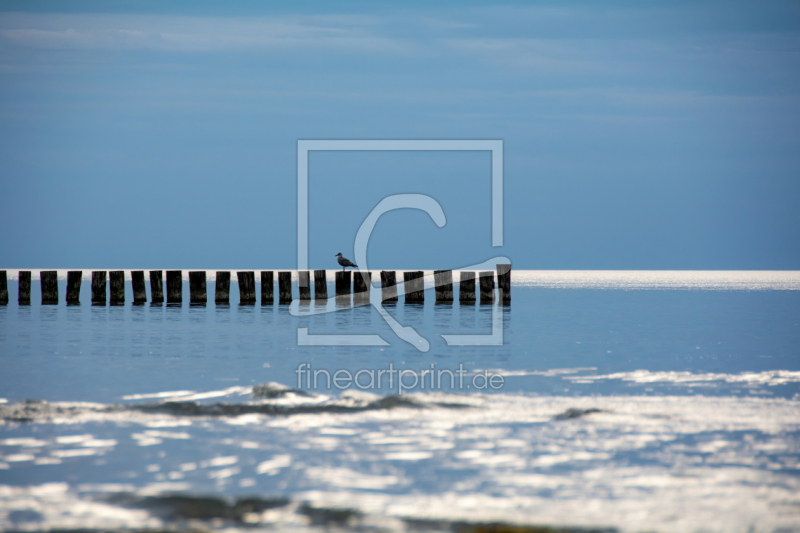 frei wählbarer Bildausschnitt für Ihr Bild auf Grußkarte