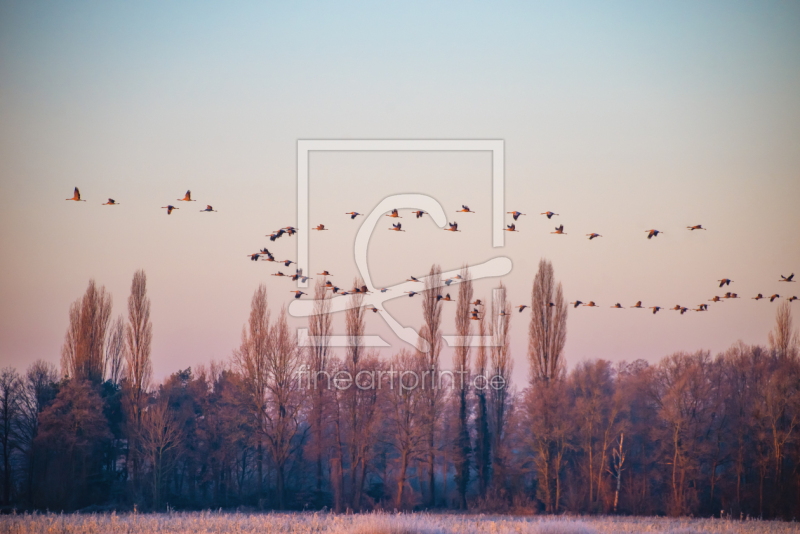 frei wählbarer Bildausschnitt für Ihr Bild auf Grußkarte