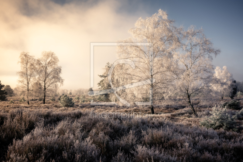 frei wählbarer Bildausschnitt für Ihr Bild auf Grußkarte