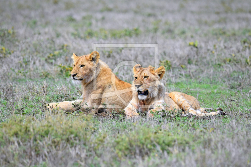 frei wählbarer Bildausschnitt für Ihr Bild auf Grußkarte