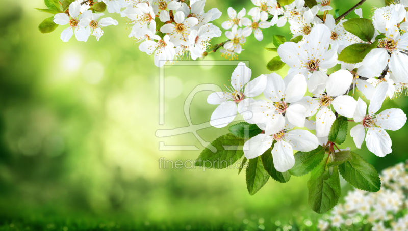 frei wählbarer Bildausschnitt für Ihr Bild auf Grußkarte