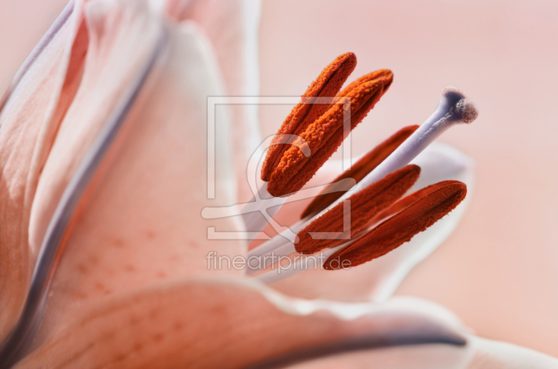 frei wählbarer Bildausschnitt für Ihr Bild auf Grußkarte