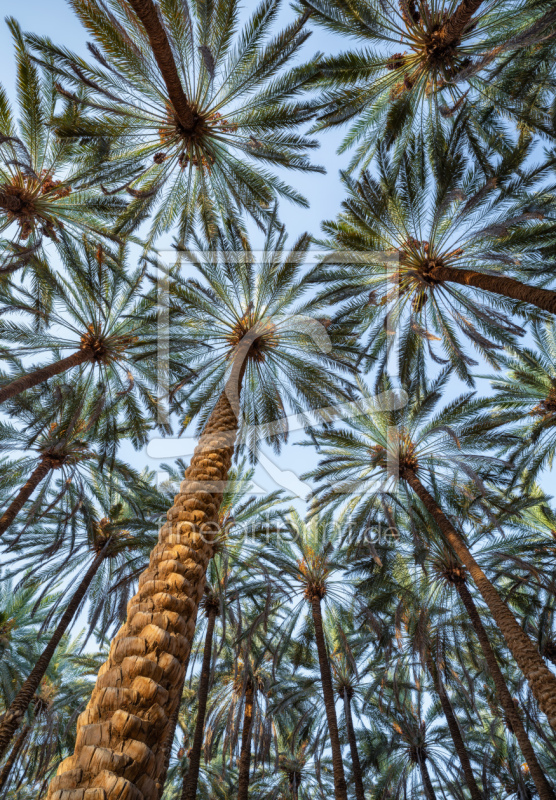 frei wählbarer Bildausschnitt für Ihr Bild auf Grußkarte