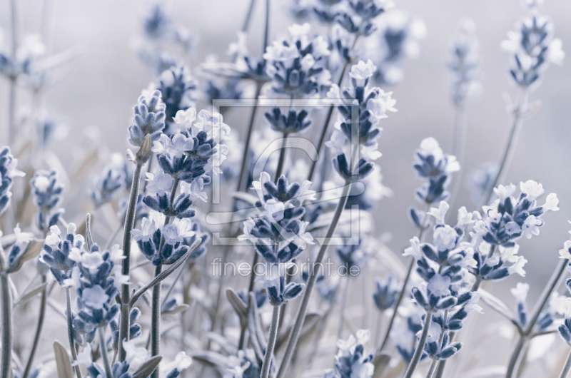 frei wählbarer Bildausschnitt für Ihr Bild auf Grußkarte