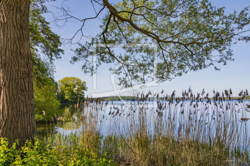 frei wählbarer Bildausschnitt für Ihr Bild auf Grußkarte
