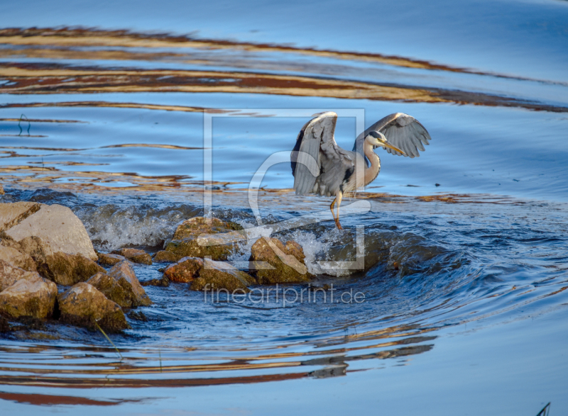frei wählbarer Bildausschnitt für Ihr Bild auf Grußkarte