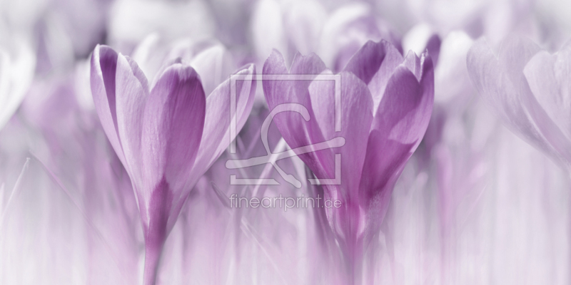 frei wählbarer Bildausschnitt für Ihr Bild auf Grußkarte