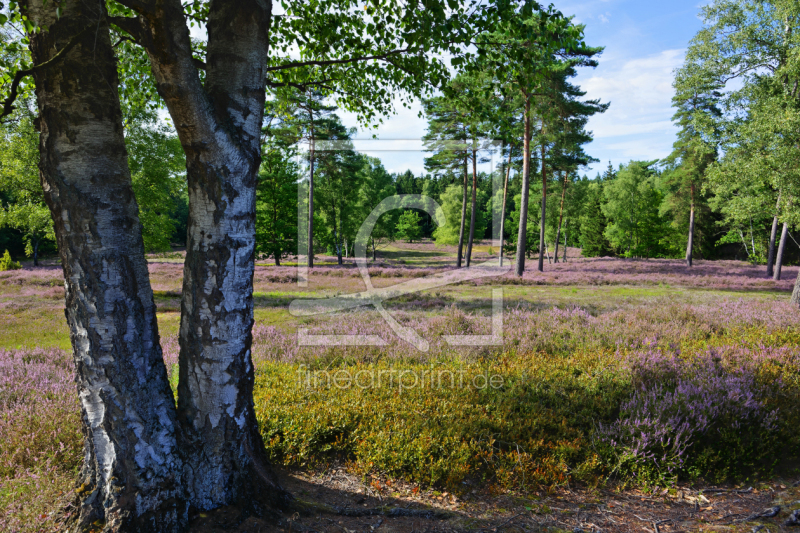 frei wählbarer Bildausschnitt für Ihr Bild auf Grußkarte
