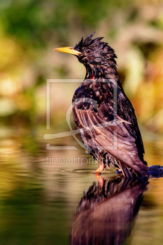 frei wählbarer Bildausschnitt für Ihr Bild auf Grußkarte