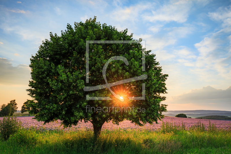 frei wählbarer Bildausschnitt für Ihr Bild auf Grußkarte