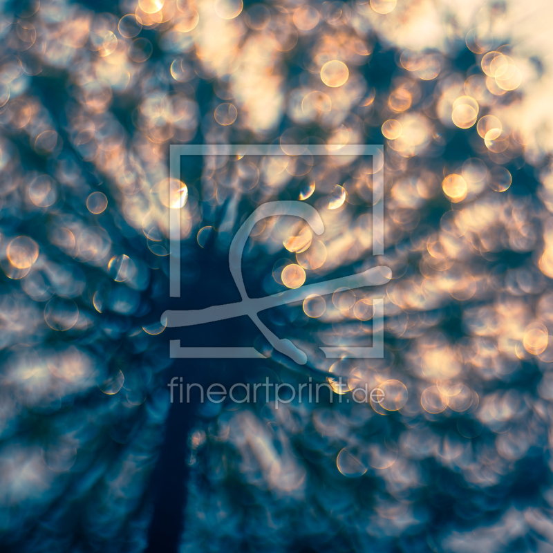 frei wählbarer Bildausschnitt für Ihr Bild auf Grußkarte