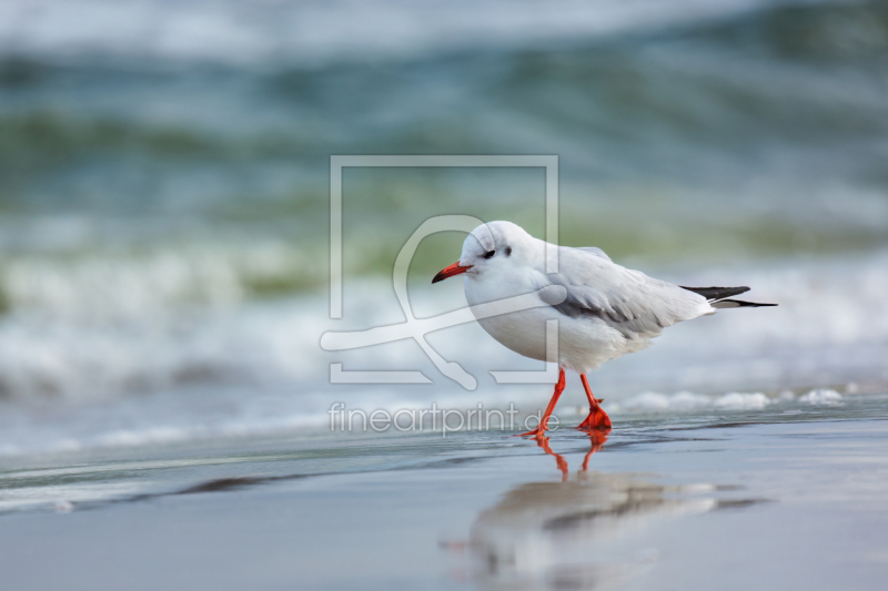 frei wählbarer Bildausschnitt für Ihr Bild auf Grußkarte