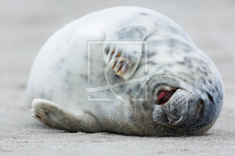 frei wählbarer Bildausschnitt für Ihr Bild auf Grußkarte