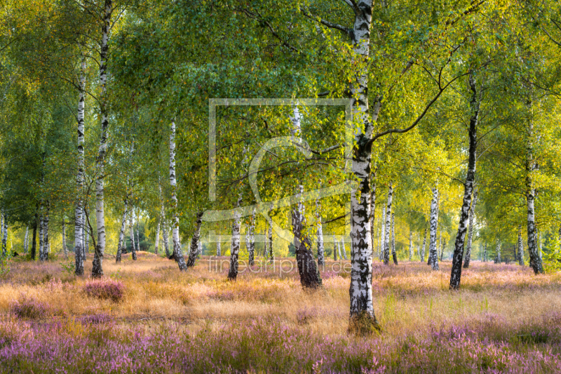 frei wählbarer Bildausschnitt für Ihr Bild auf Grußkarte