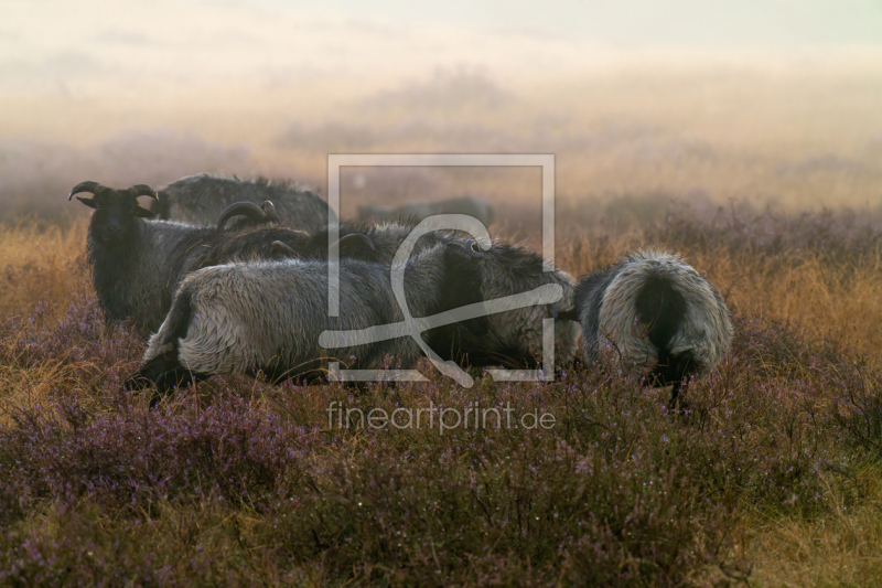 frei wählbarer Bildausschnitt für Ihr Bild auf Grußkarte