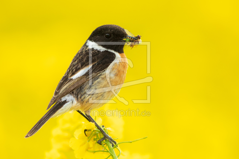 frei wählbarer Bildausschnitt für Ihr Bild auf Grußkarte
