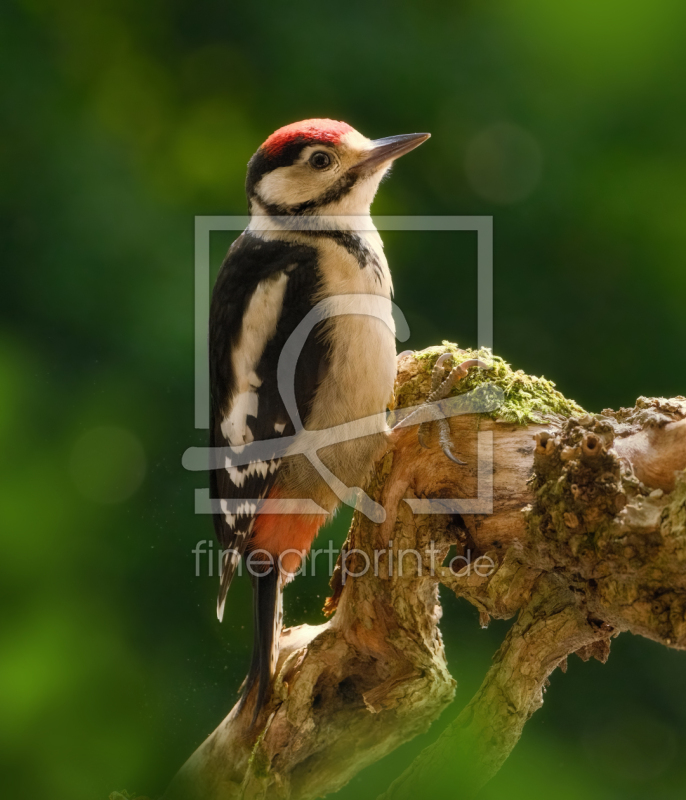 frei wählbarer Bildausschnitt für Ihr Bild auf Grußkarte