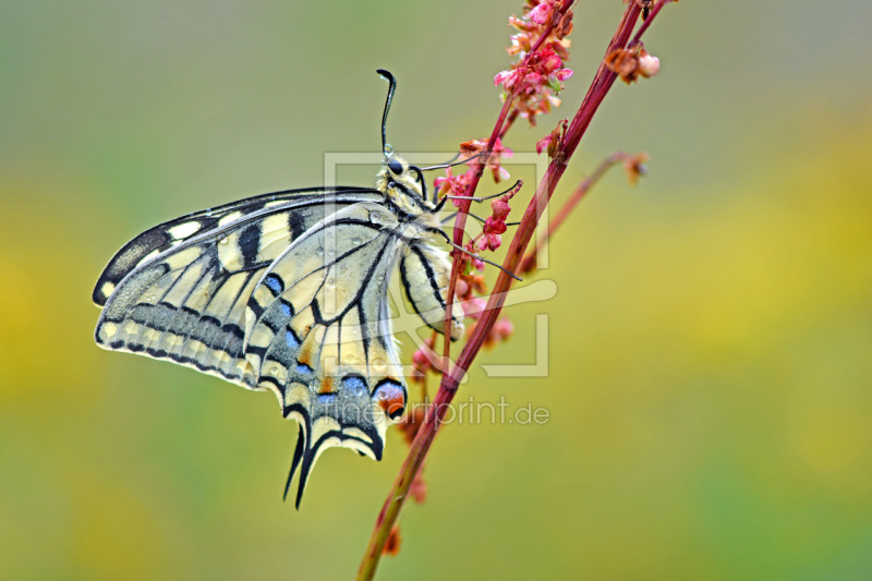 frei wählbarer Bildausschnitt für Ihr Bild auf Grußkarte