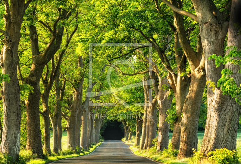 frei wählbarer Bildausschnitt für Ihr Bild auf Grußkarte