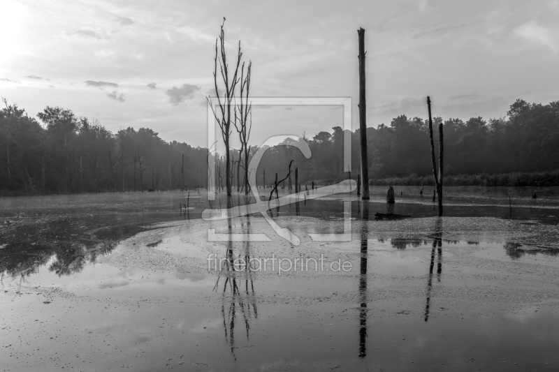 frei wählbarer Bildausschnitt für Ihr Bild auf Grußkarte