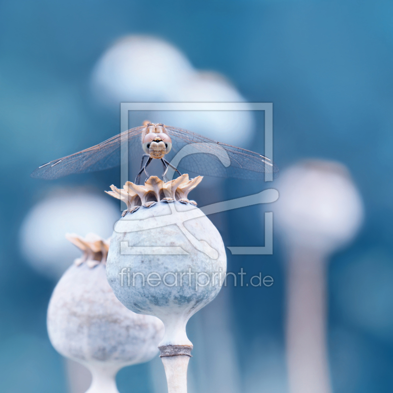 frei wählbarer Bildausschnitt für Ihr Bild auf Grußkarte