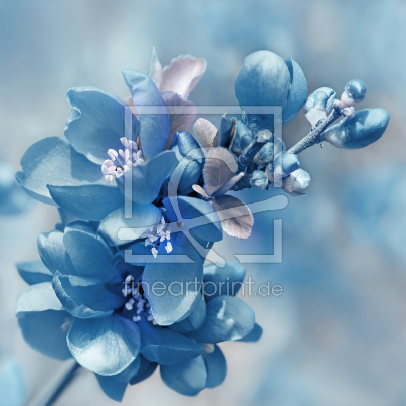 frei wählbarer Bildausschnitt für Ihr Bild auf Grußkarte