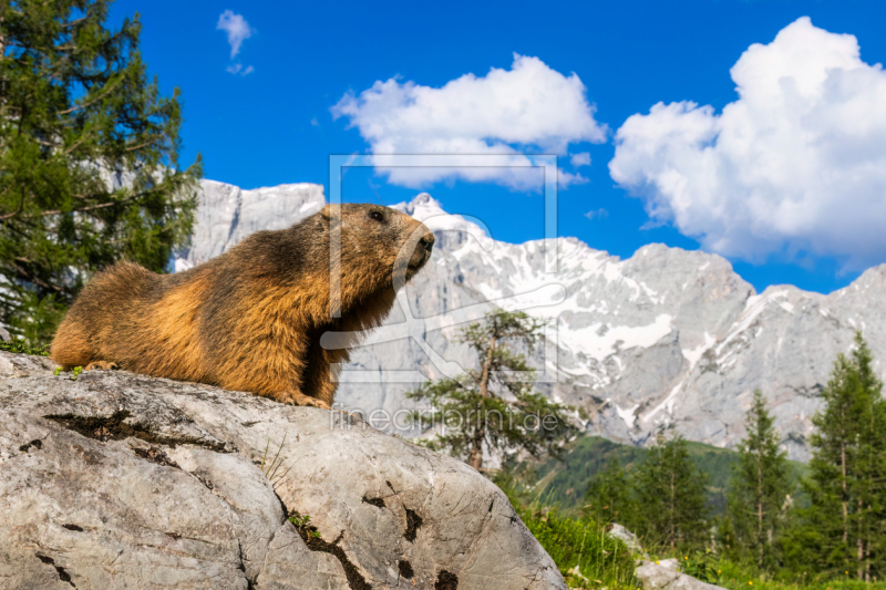 frei wählbarer Bildausschnitt für Ihr Bild auf Grußkarte