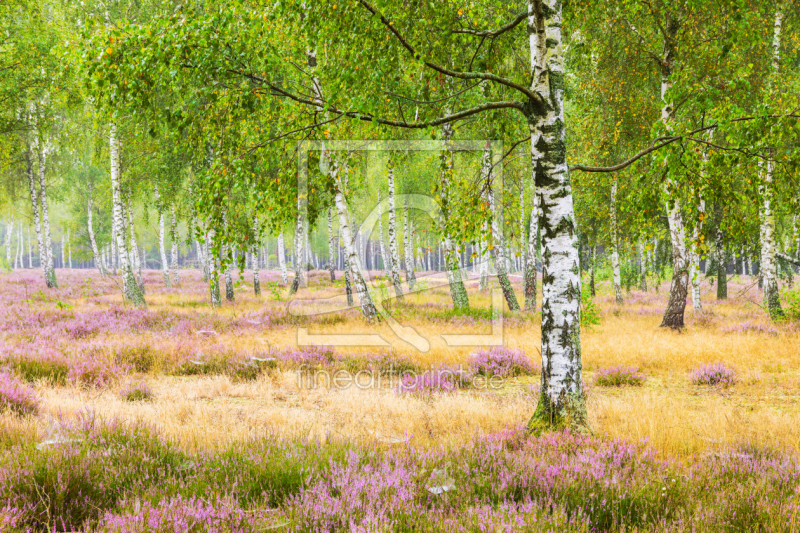 frei wählbarer Bildausschnitt für Ihr Bild auf Grußkarte