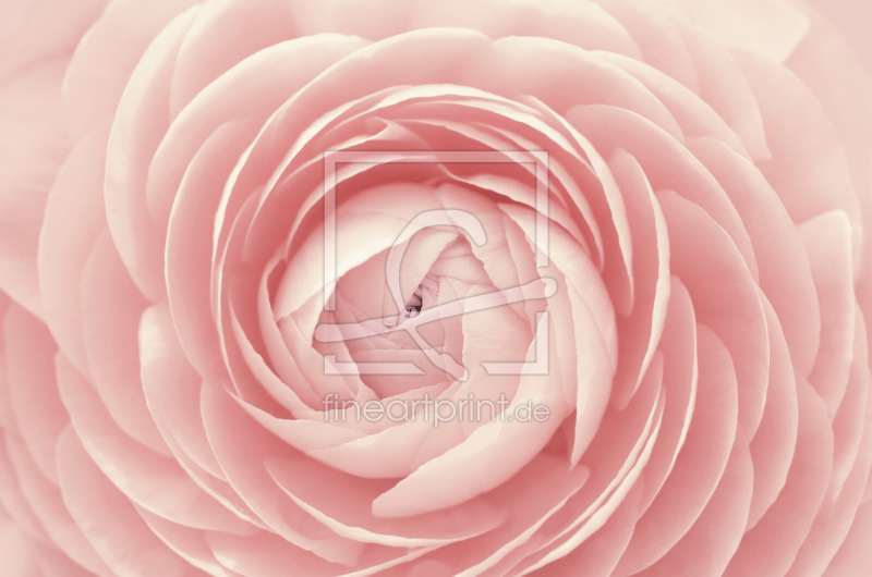 frei wählbarer Bildausschnitt für Ihr Bild auf Grußkarte