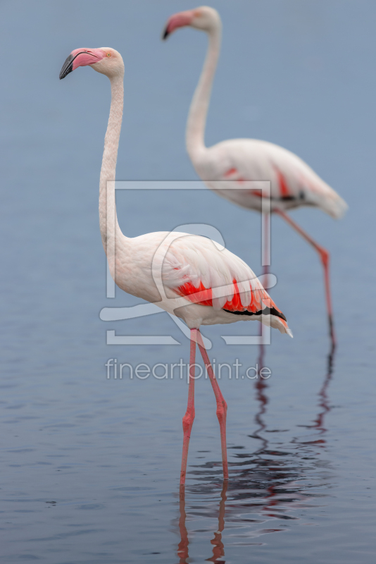 frei wählbarer Bildausschnitt für Ihr Bild auf Grußkarte