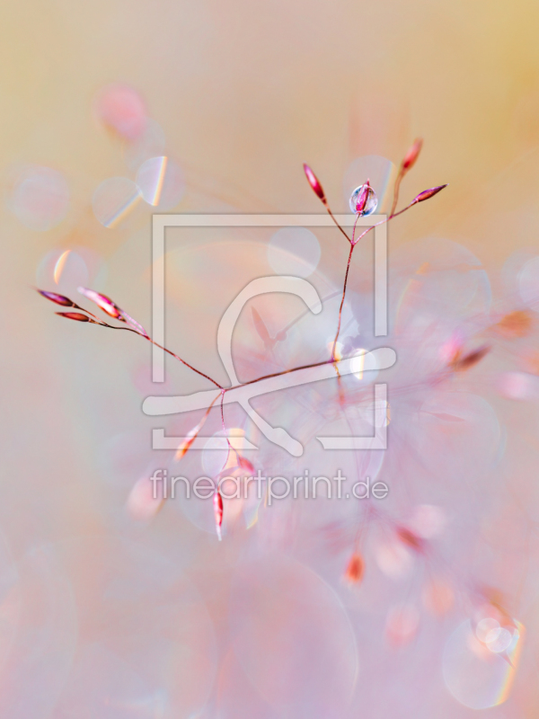 frei wählbarer Bildausschnitt für Ihr Bild auf Grußkarte